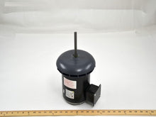 Load image into Gallery viewer, FC1066
