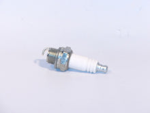 Load image into Gallery viewer, LB-50569D
