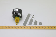 Load image into Gallery viewer, FS254
