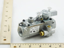 Load image into Gallery viewer, D83043
