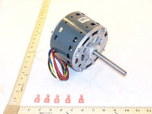 Load image into Gallery viewer, P2512306
