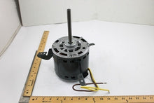 Load image into Gallery viewer, P2515216
