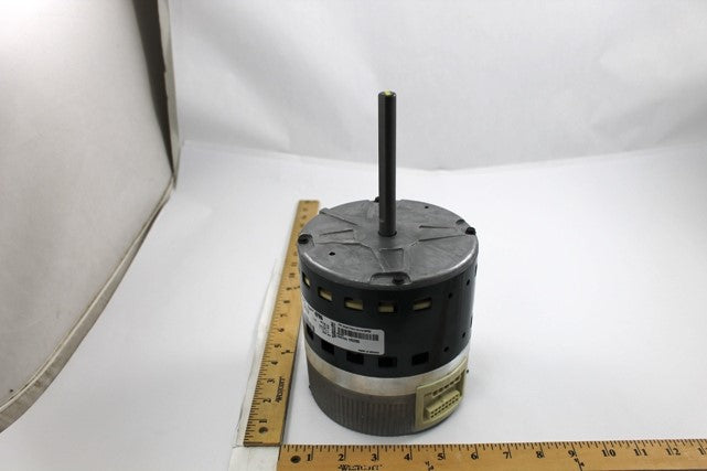 5SBA39GLV5295