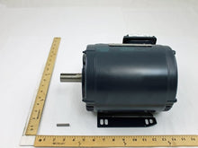 Load image into Gallery viewer, P2617604
