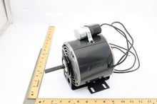 Load image into Gallery viewer, K055JZK3127363J
