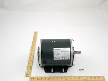 Load image into Gallery viewer, Q56S17D5701
