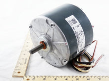 Load image into Gallery viewer, 21A116331
