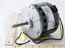 Load image into Gallery viewer, 21A308557
