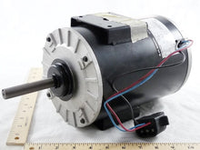 Load image into Gallery viewer, MOT12636
