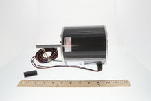 Load image into Gallery viewer, MOT05059
