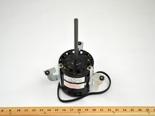 Load image into Gallery viewer, A2169
