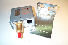 Load image into Gallery viewer, P170AA-118
