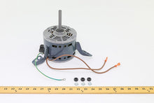 Load image into Gallery viewer, PM020030
