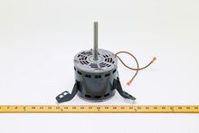 Load image into Gallery viewer, PM020076
