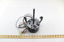 Load image into Gallery viewer, PM021273
