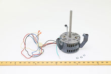 Load image into Gallery viewer, PM021360
