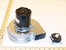 Load image into Gallery viewer, 40425-001
