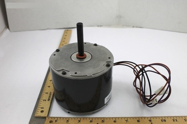 R45569001