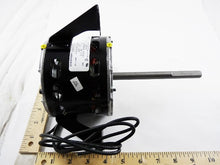 Load image into Gallery viewer, 305306
