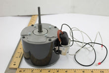 Load image into Gallery viewer, 1779P
