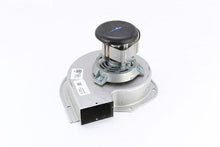 Load image into Gallery viewer, BLWO522
