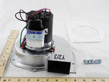 Load image into Gallery viewer, BLW0520
