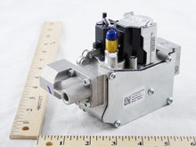 Load image into Gallery viewer, 21166
