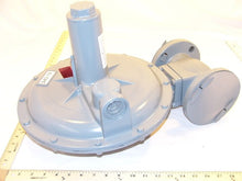 Load image into Gallery viewer, 243-12-2F
