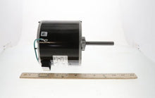 Load image into Gallery viewer, 1D209
